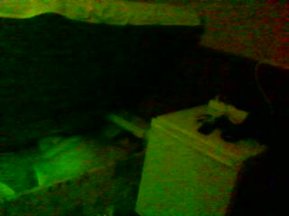 DSC00089.jpg