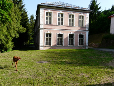 20080806174105.jpg