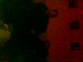 DSC00054.jpg