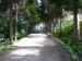 20080806183305.jpg